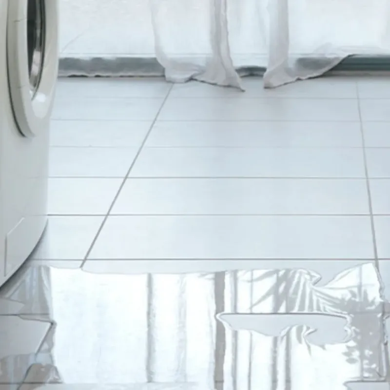 Appliance Leak Cleanup in Val Verde County, TX