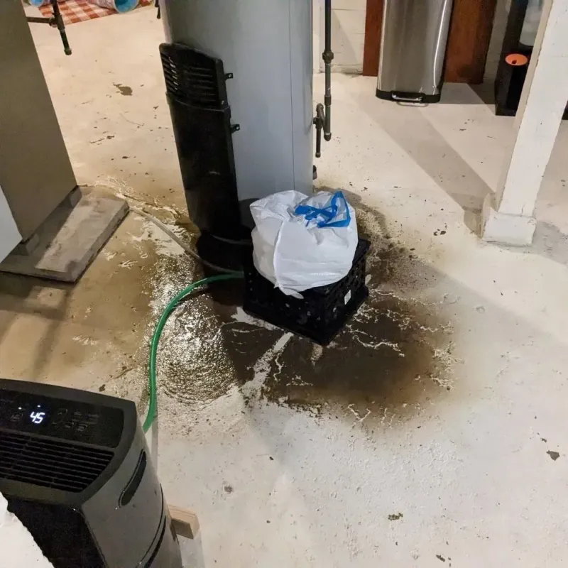Sewage Backup Cleanup Service in Val Verde County, TX